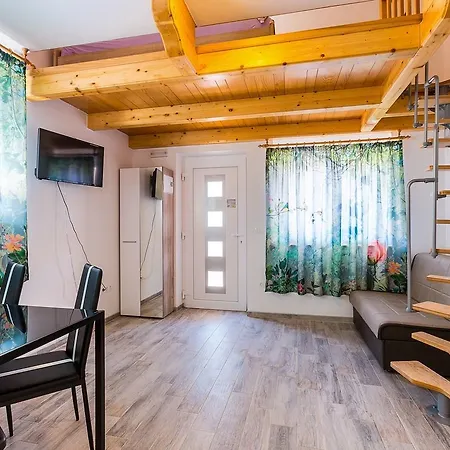 Irina Studio 1 Apartment Medulin